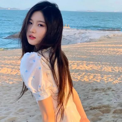 我的宠物少将军